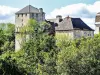Schloss von Vallerois-le-Bois - Monument in Vallerois-le-Bois