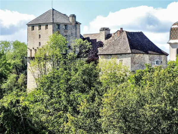 Château de Vallerois-le-Bois - Monument à Vallerois-le-Bois