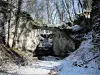 Vandoncourt - Pont Sarrazin, vu côté aval, en fin d'hiver (© J.E)