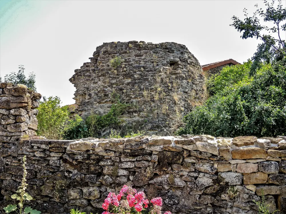 Vaudémont - Ruins of the watchtower (© J.E)