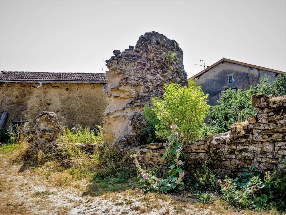 Vaudémont - Ruins of the watchtower (© J.E)