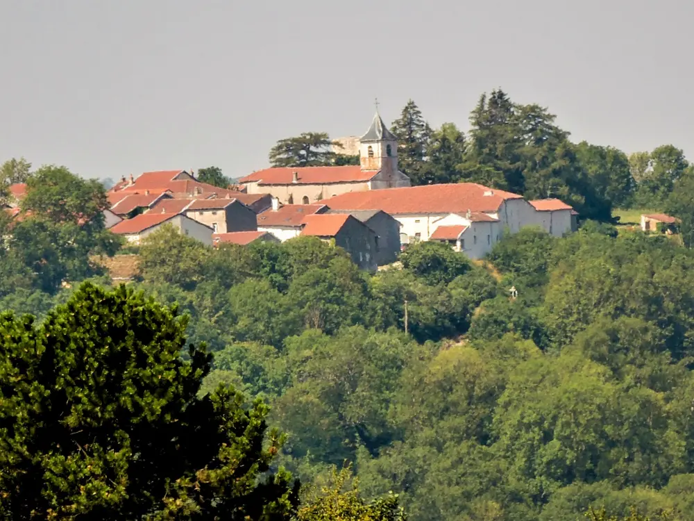 Vaudémont - Vaudémont, seen from the Barres monument (© J.E)