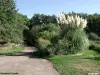 Paseo en los jardines de los Orioles