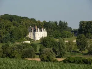 Le château de Mangé (© G. Durand)