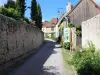 Ruelle