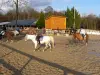Verneuil-en-Halatte - The carousel horse riding center
