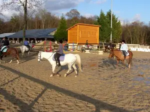 Le manège du centre équestre