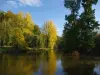 Verneuil-en-Halatte - The Mill Pond enhaut