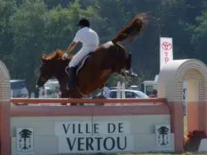 Jumping Vertou in september