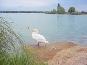 Lago Vaivre-Vesoul (© JE)