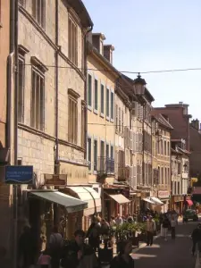 una calle comercial en Vesoul