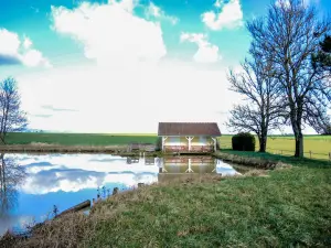 Pond in the locality Pruelle (© J.E)