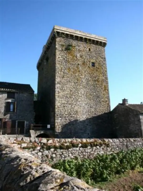 Tour du Viala-du-Pas-de-Jaux - Monument à Viala-du-Pas-de-Jaux