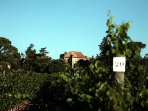 Vineyards und Schloss Preignes