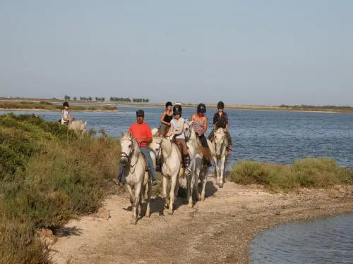 Vic-la-Gardiole - Guía turismo, vacaciones y fines de semana en Hérault