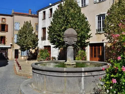 Vic-le-Comte - Tourism, holidays & weekends guide in the Puy-de-Dôme