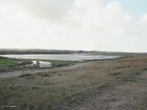 Marais du Hable (Plage de Tabot)