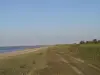 Gouberville - View on the beach and the lighthouse since Angré