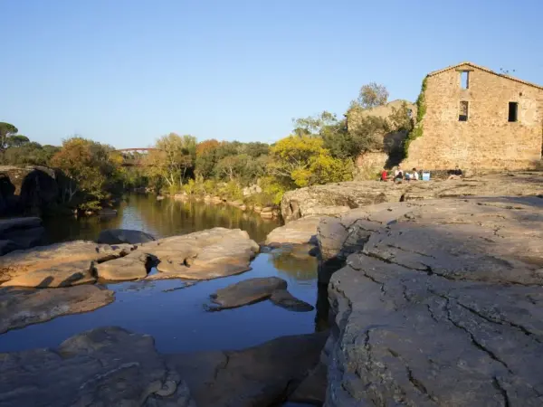 Vidauban - Guida turismo, vacanze e weekend nel Varo