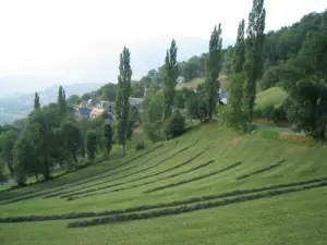 Village Vier-Bordes