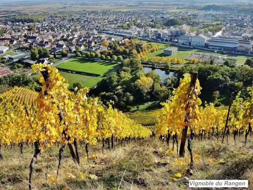 Vieux-Thann - Gids voor toerisme, vakantie & weekend in de Haut-Rhin