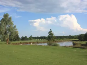 Golf view