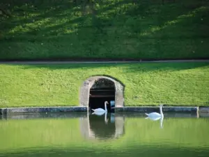 Gärten Villandry - Teil Wasser mit zwei Schwänen