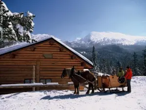 Balade en calèche l'hiver