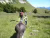 Balade avec les ânes