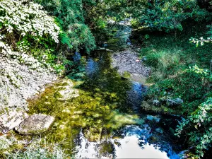 Ruisseau la Barbèche, en amont du pont de Villars-sous-Dampjoux (© J.E)