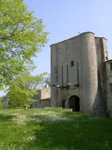 Château de Villeneuve-la-Comtesse (© S. Bretonneau)
