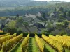 Villers-la-Faye - Tourism, holidays & weekends guide in the Côte-d'Or