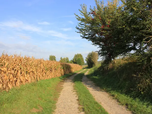 Villers-Saint-Frambourg-Ognon - Führer für Tourismus, Urlaub & Wochenende in der Oise