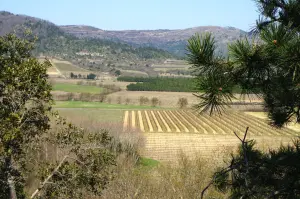 Vista del valle