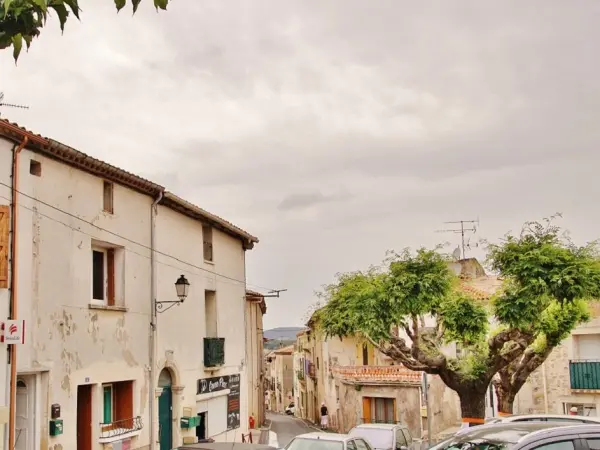 Villeveyrac - Guía turismo, vacaciones y fines de semana en Hérault