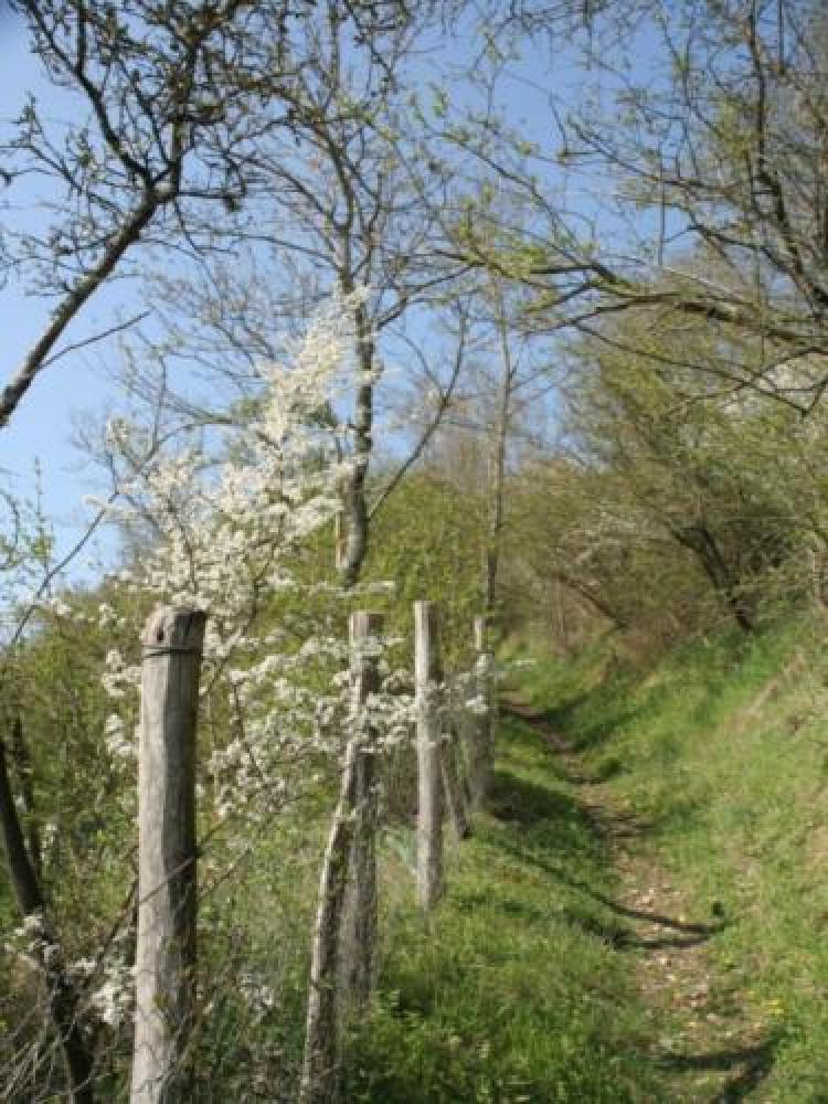 Photos VillierssurLoir Tourisme, Vacances & Weekend