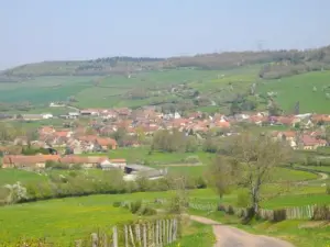 Village de Villy