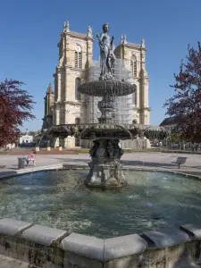 Place d'Armes en de collegiale kerk Notre-Dame (© VVV kantoor van Lac du Der en Champagne)