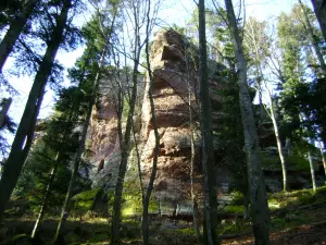 Forest of Abreschviller