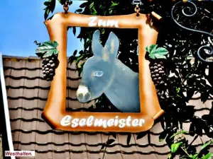 Donkeys Meister lehrt (© Jean Espirat)