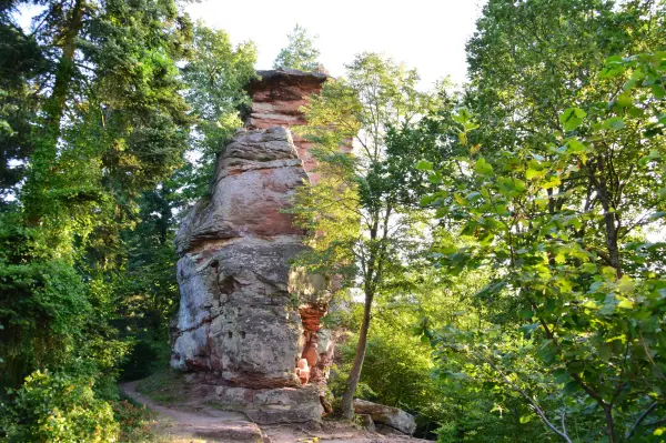 Kasteel van Vieux-Windstein - Monument in Windstein