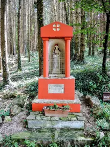 Oratoire de Sainte-Madeleine - Chemin de la chapelle Saint-Jean-de-Népomucène (© J.E)