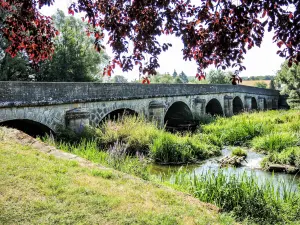 The great bridge over the Madon (© J.E)