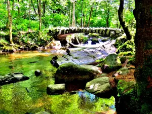 Pequeño puente de piedra sobre el Vologne (© JE)