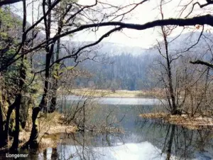 Winter am Lac de Retournemer