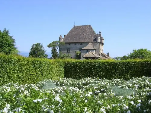 Yvoire - Vue sur le château, avec un tapis de roses blanches parfumées dans le jardin des Cinq Sens