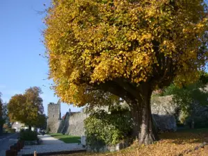 Yvoire in autumn