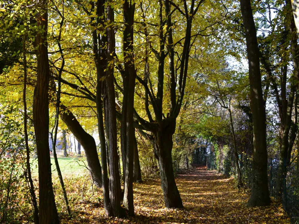 Yvoire - Sentier Veggetti (© Destination Léman)