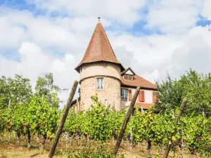 Tour sud-est de l'ancien château (© J.E)