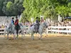 La Feria de Pentecostés - (© Ville de Nîmes)